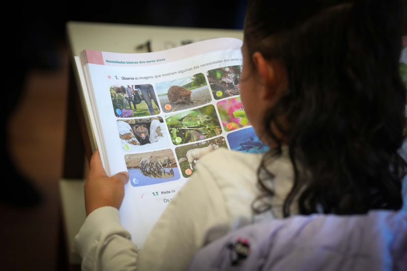Braga, uma sala de aula ao ar livre. Município disponibiliza 597 propostas educativas para o ano letivo 2026/2027
