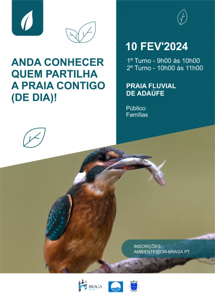 Anda Conhecer Quem Partilha a Praia Contigo (de dia)!