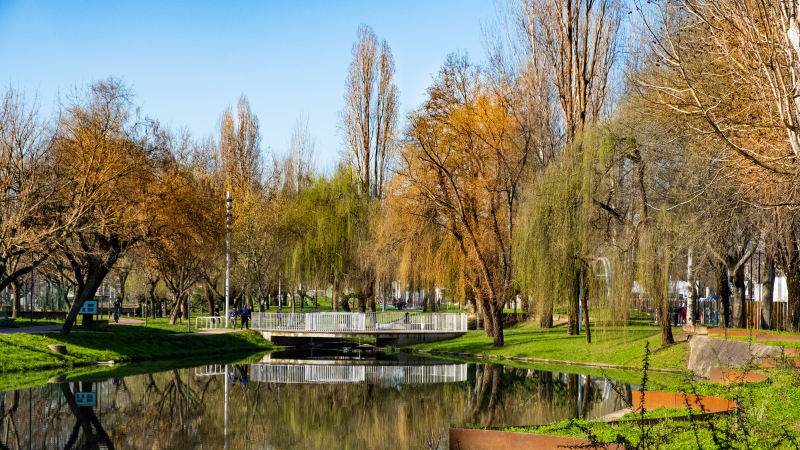 Estratégia Municipal de Educação Ambiental representa compromisso com o Futuro Sustentável