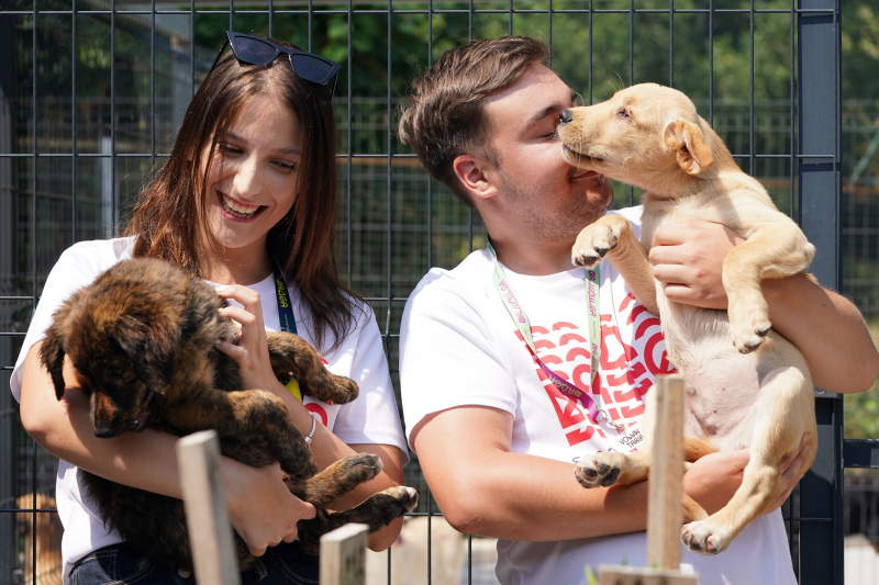 Encerramento do Programa de Voluntariado “Verão Animal”
