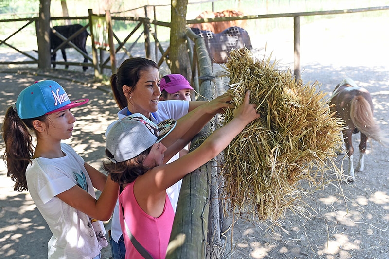 Município convida crianças a passar Férias Quinta Pedagógica de Braga
