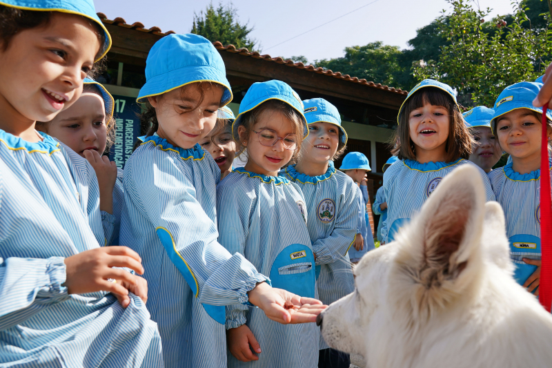 Quinta Pedagógica de Braga lança Banco Alimentar Animal