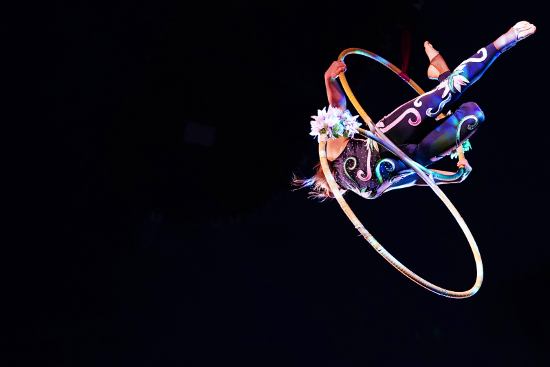Município de Braga leva mais de sete mil crianças do Concelho ao Circo de Natal