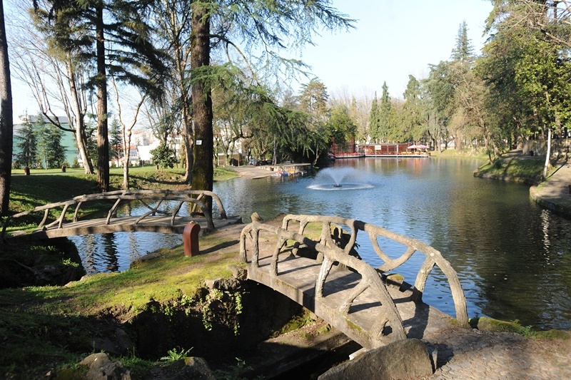 Cinema ao ar livre regressa ao Parque da Ponte