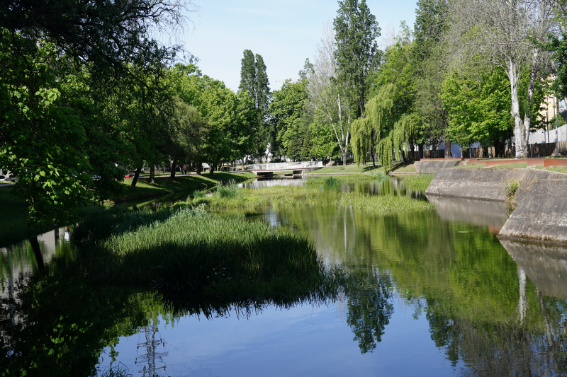 Município de Braga avança com posse administrativa para criar Parque Ecológico do Rio Este