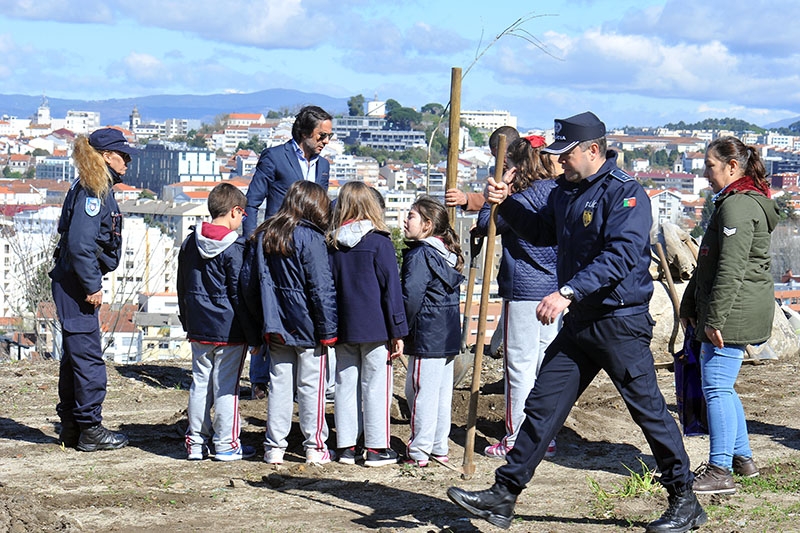 Braga assinala Dia Mundial da Árvore