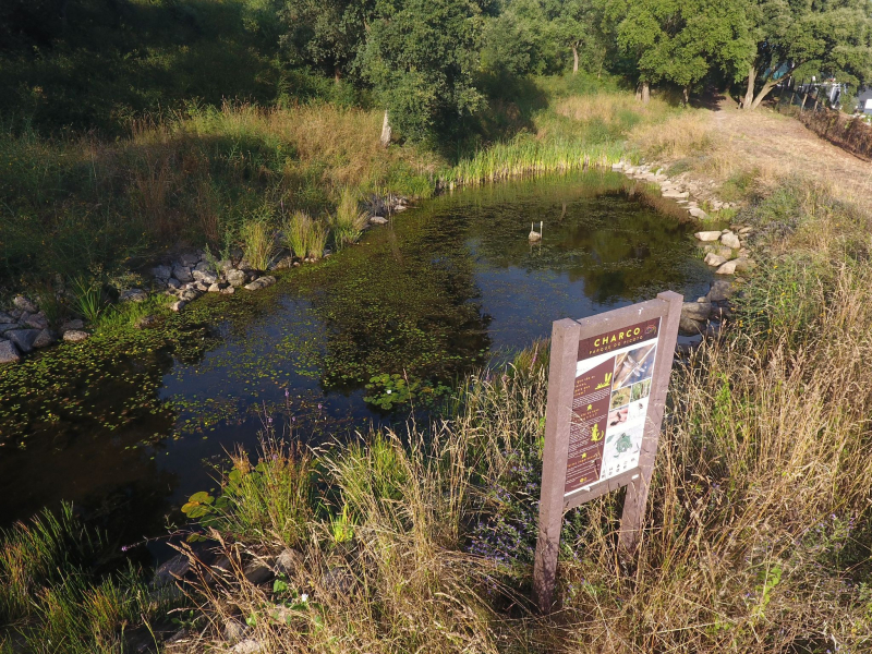 Parque Urbano do Picoto afirma-se como referência ambiental e ecológica