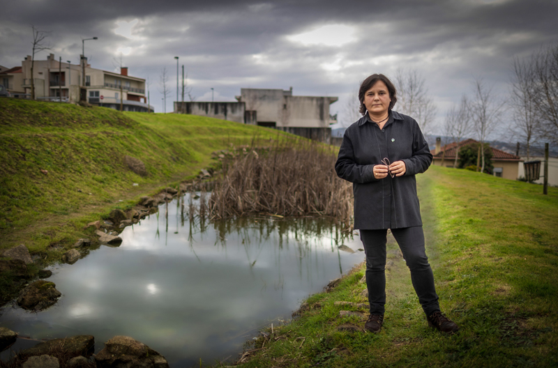 Cristina Costa – Ambiente