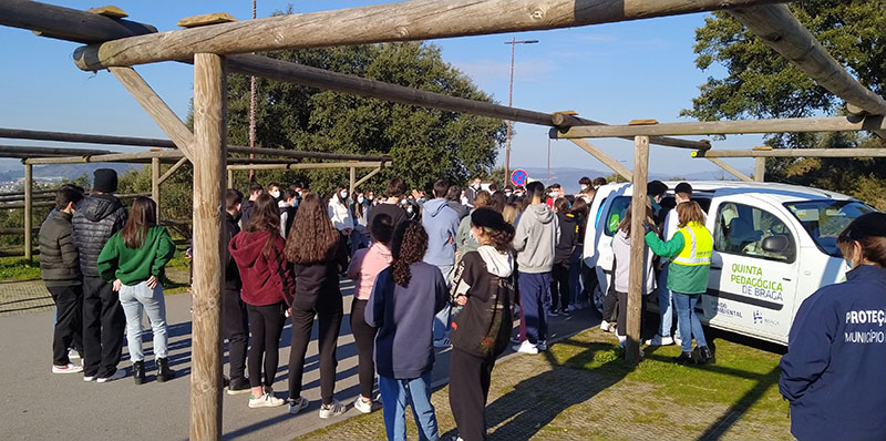 Alunos da Escola Alberto Sampaio plantaram mais de 100 árvores no Monte Picoto