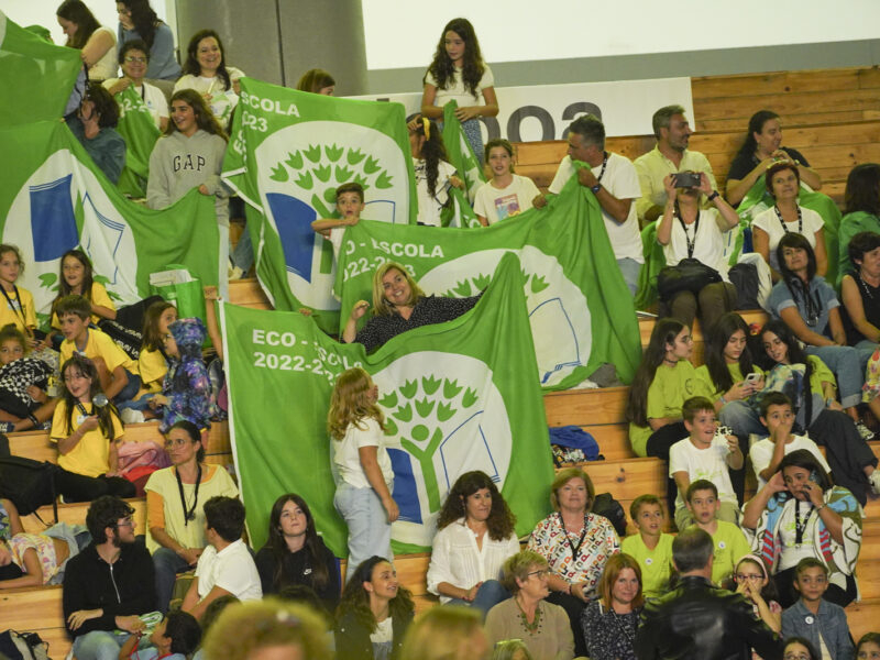 Vinte e nove eco-escolas de Braga galardoadas com a Bandeira Verde