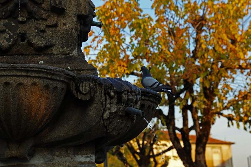 Visita guiada e orientada pelos Fontanários de Braga