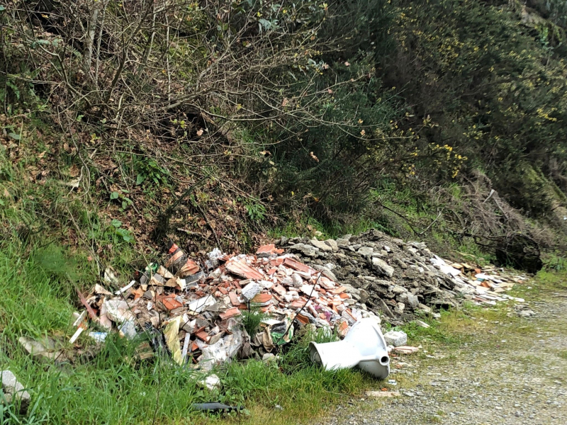 Município de Braga elimina 4 mil toneladas de resíduos de lixeiras em seis anos 