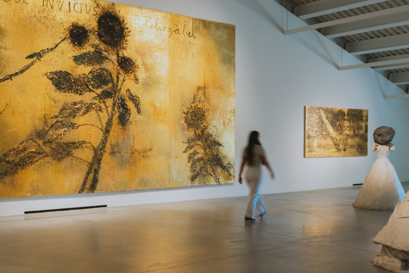 Noite Branca: Museus, galerias e património abrem portas até de madrugada em circuito de acesso livre