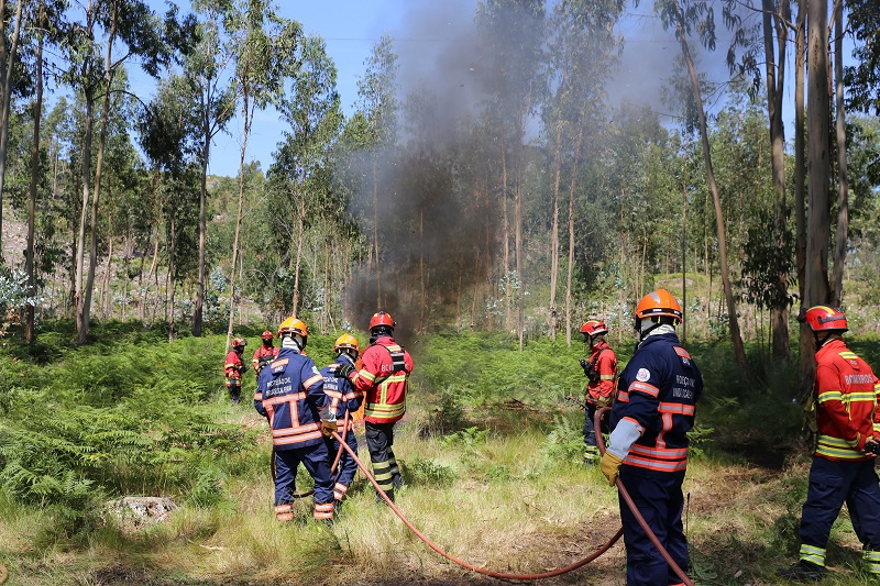 Braga tem Plano Municipal de Defesa da Floresta Contra Incêndios actualizado até Janeiro de 2021