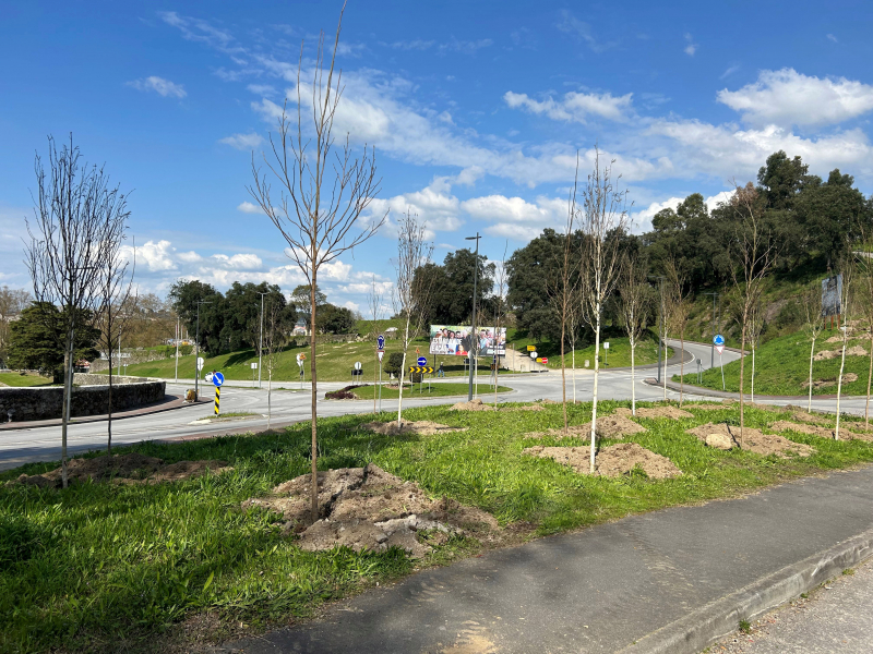 Município de Braga procedeu à plantação de 614 árvores em 2024