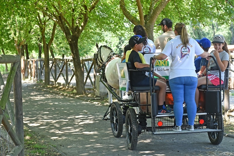 Quinta Pedagógica aumenta número de visitantes