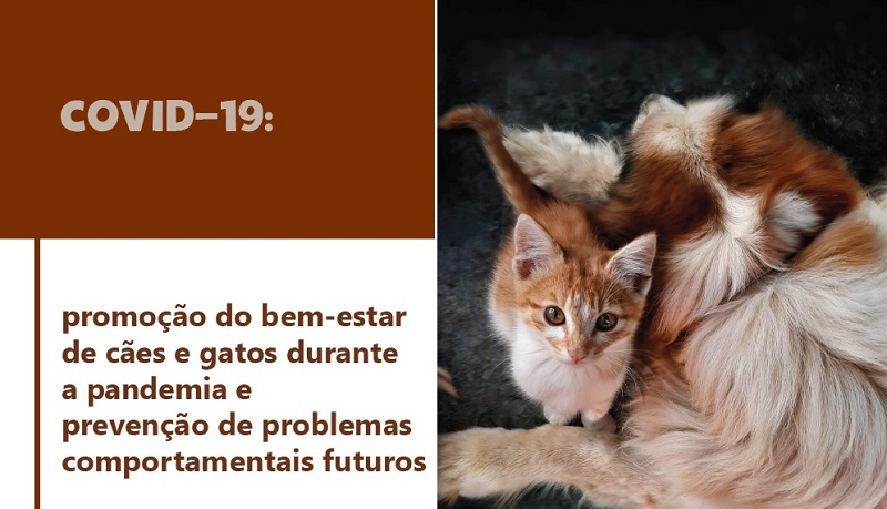 COVID-19 Recomendações de Bem-estar Animal