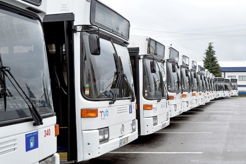 Município garante transporte escolar gratuito a alunos do 3.º Ciclo do Ensino Básico