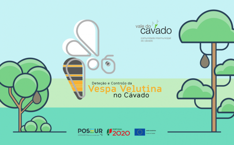Detecção e Controlo da Vespa velutina na NUTS III Cávado