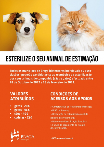 Braga lança campanha extraordinária de apoio à esterilização de animais de companhia