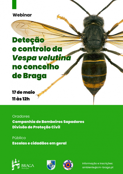 Webinar: 'Deteção e controlo da Vespa Velutina'