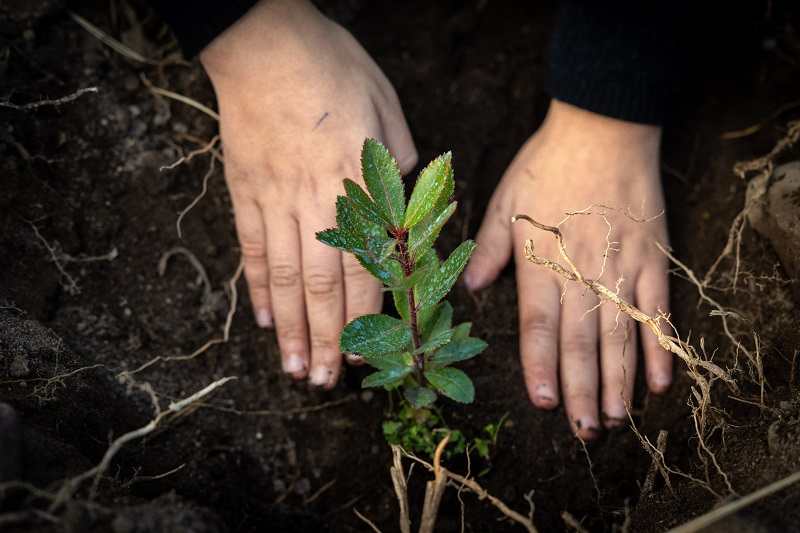 Aumenta número de eco-escolas em Braga
