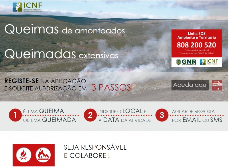 INFORMAÇÃO - Queimadas