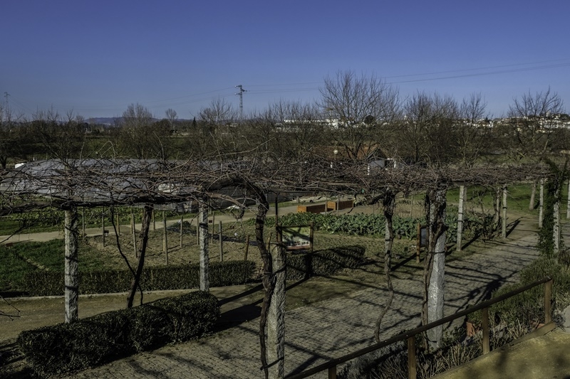 Quinta Pedagógica de Braga reforça atractividade e cria novas valências